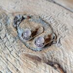 Boucles d'oreilles indiennes en quartz rose