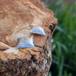 Boucles d'oreilles argent Koh Phi