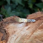 Longues boucles d'oreilles en argent martelé