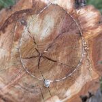 Collier en argent PETIT MEKONG